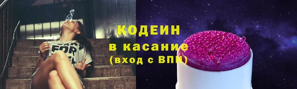 таблы Богородицк