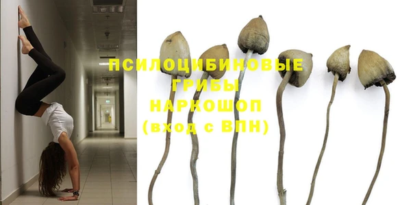 экстази Бородино