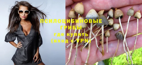 экстази Бородино