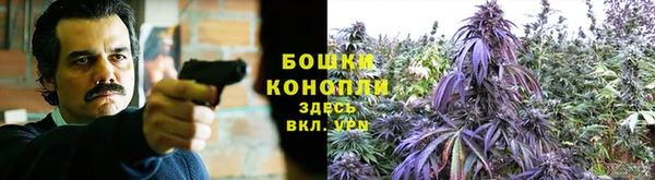 соль курить ск Богданович