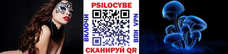 MEGA как войти  Красногорск  Псилоцибиновые грибы Psilocybe  где найти  