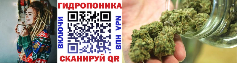 Бошки марихуана Bruce Banner  закладка  мега ссылка  Красногорск 